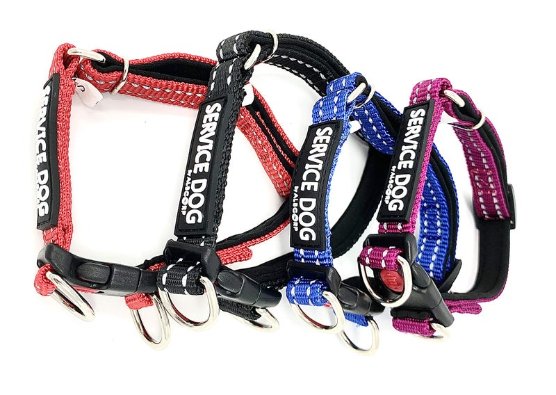 Albcorp Reflective Service Dog Collar â€“ Sizes XS to XL (8.6â€“28.7 Inches), Service Dog Rubber Patch, Neoprene-Padded Comfort & High-Visibility Gear for Dedicated Handlers, Small,Red - Image 5